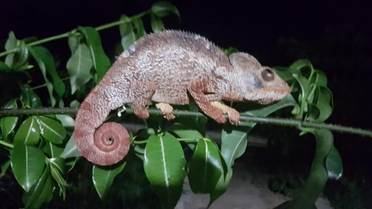 Sanjeela-Plage Coco Antsiranana Exteriör bild